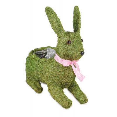 Osłonka zając z trawy...