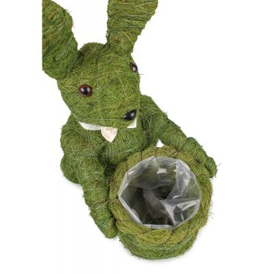 Osłonka zając z trawy...